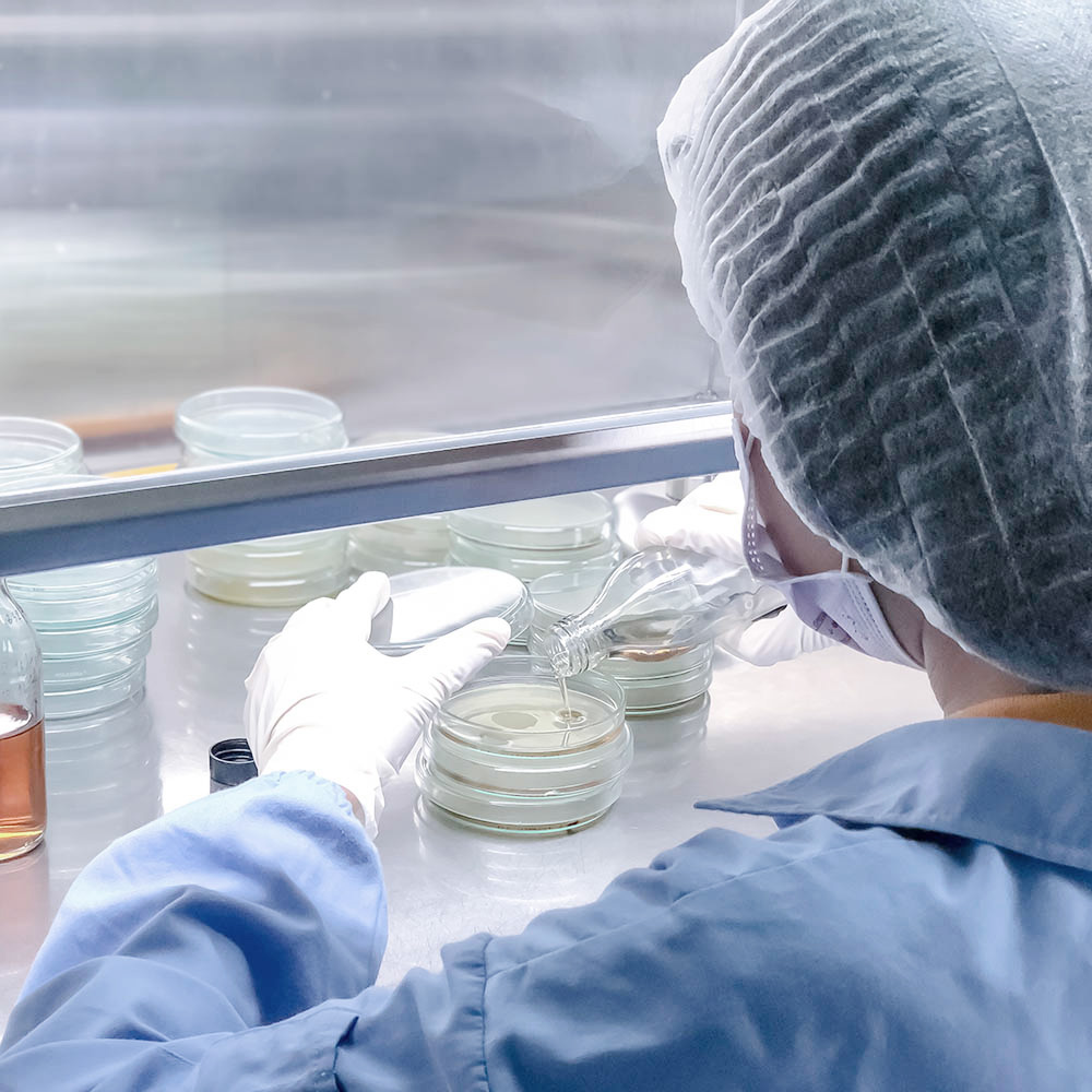 parteco passbox camere bianche