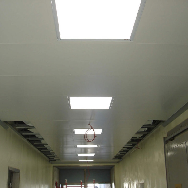 soffitti clip parteco 05